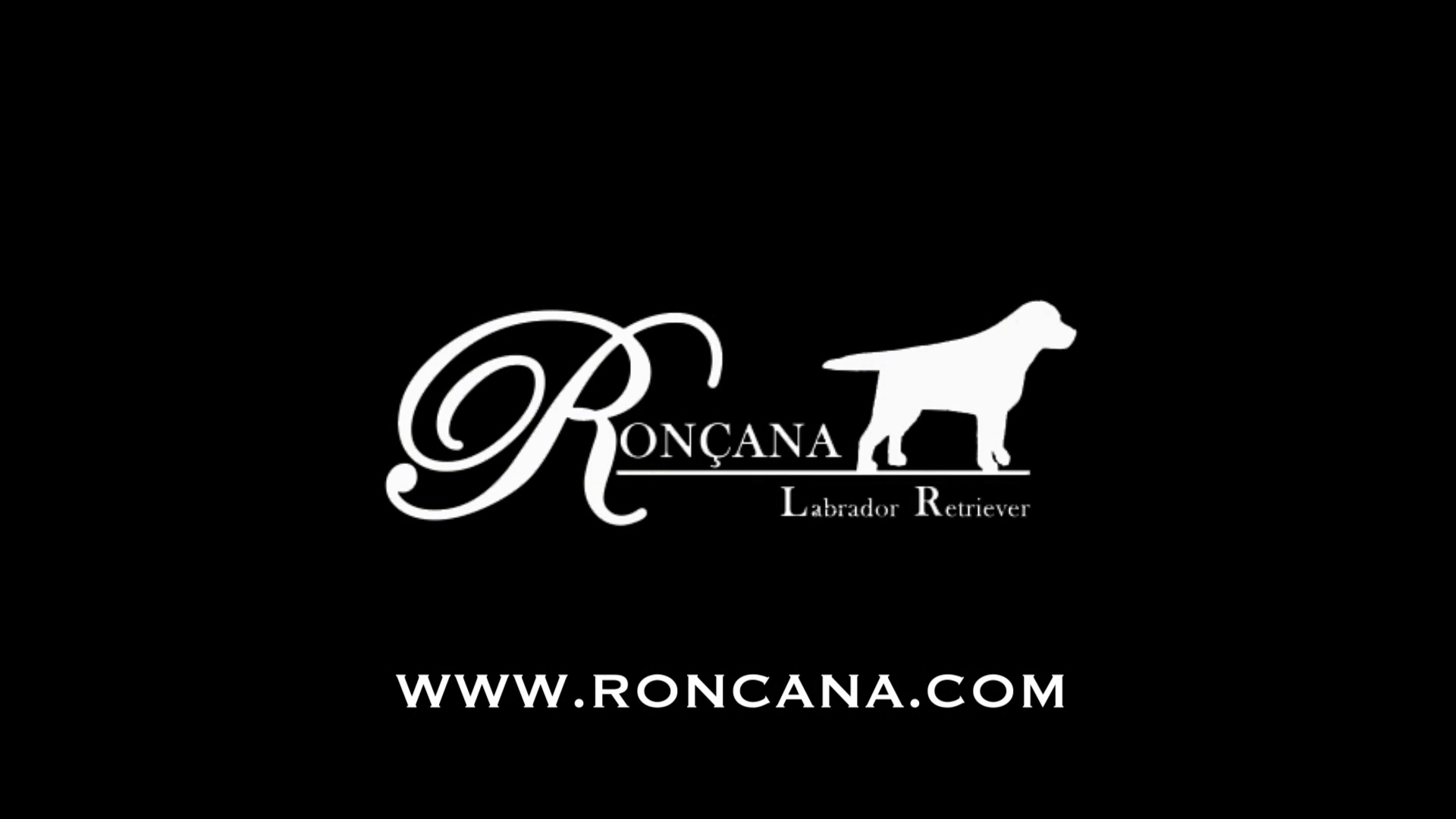 Ronçana Project
